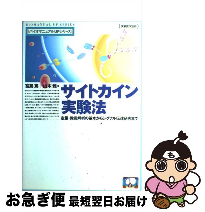 š ȥ¸ˡ BM22 / ڼ / ڼ [ڡѡХå]ڥͥݥȯ