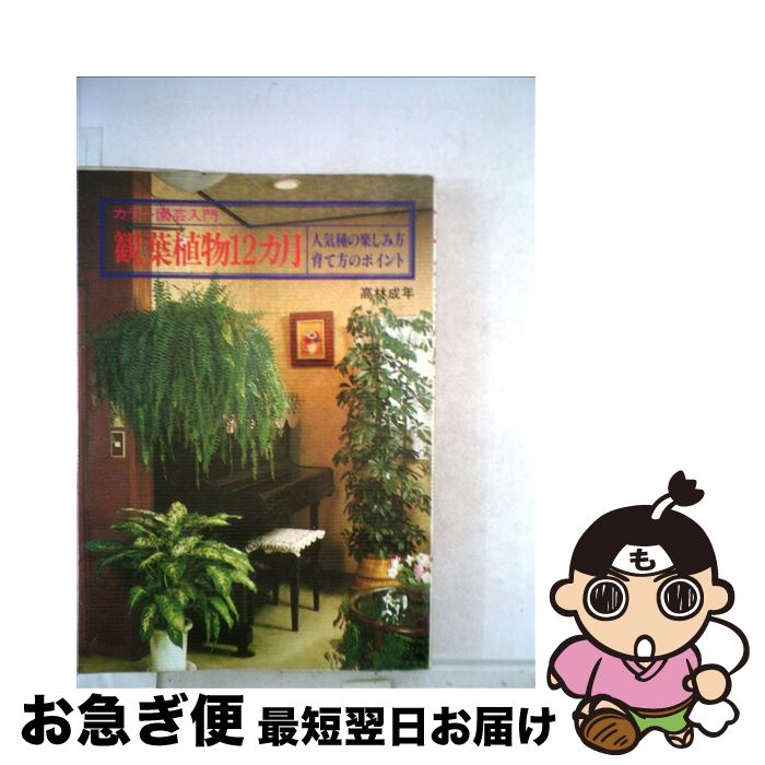 【中古】 観葉植物12カ月 人気種の