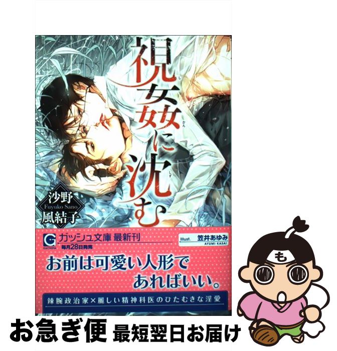 著者：沙野 風結子, 笠井 あゆみ出版社：海王社サイズ：文庫ISBN-10：479640922XISBN-13：9784796409223■こちらの商品もオススメです ● いとしい、ということ / 高崎 ぼすこ / 竹書房 [コミック] ●...