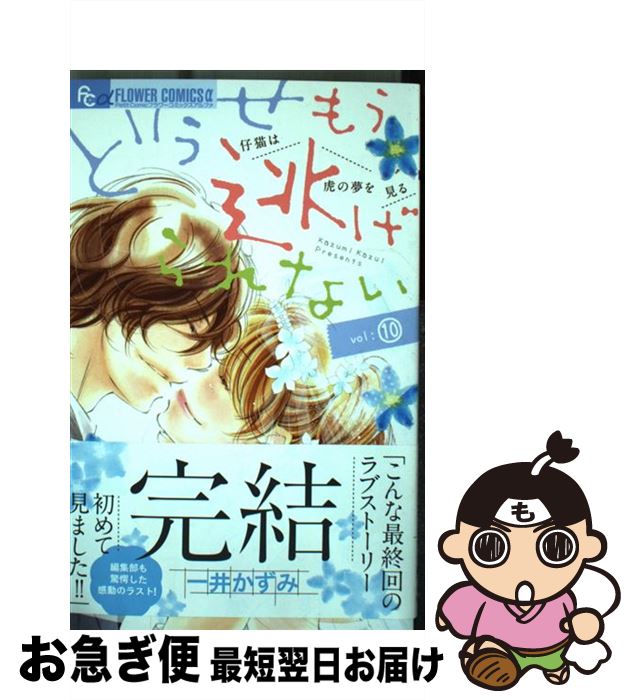 【中古】 どうせもう逃げられない 10 / 一井 かずみ / 小学館 [コミック]【ネコポス発送】