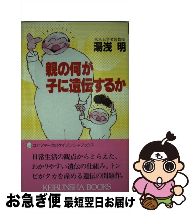 äʤޡޤŹ㤨֡š ƤβҤ˰뤫 /   / Ҧʸ []ڥͥݥȯۡפβǤʤ341ߤˤʤޤ