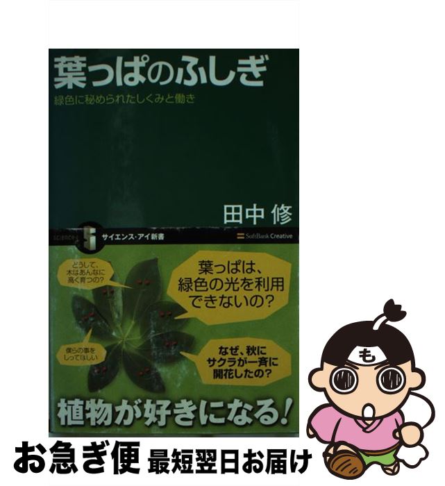 【中古】 葉っぱのふしぎ 緑色に秘められたしくみと働き / 田中 修 / SBクリエイティブ [新書]【ネコポ..