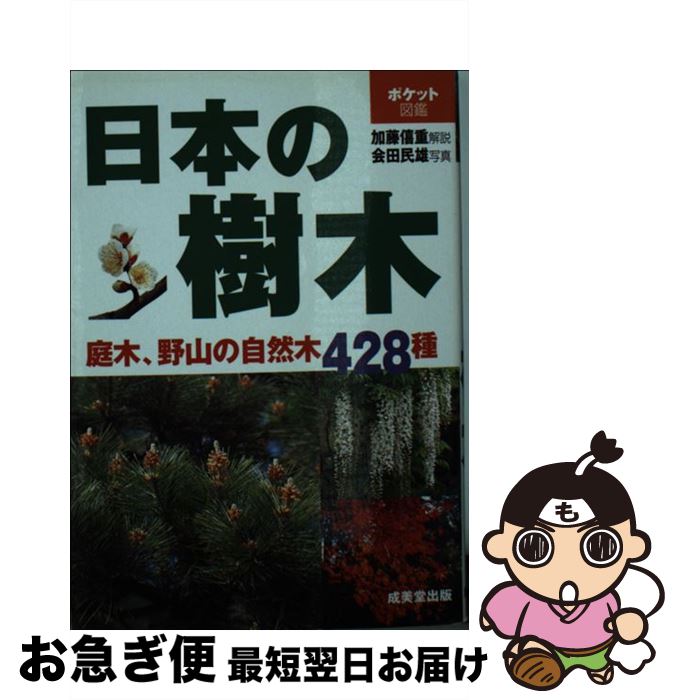 š ܤμ /  ̱ͺ / Ʋ [ñ]ڥͥݥȯ