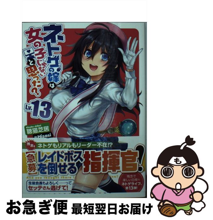 【中古】 ネトゲの嫁は女の子じゃないと思った？ Lv．13 / 聴猫 芝居, Hisasi / KADOKAWA [文庫]【ネコポス発送】