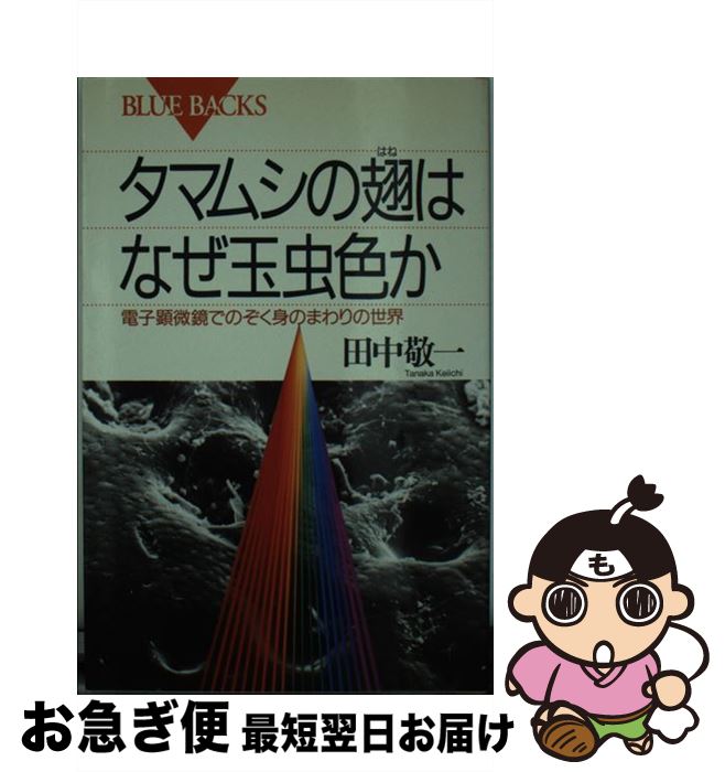 【中古】 タマムシの翅（はね）は