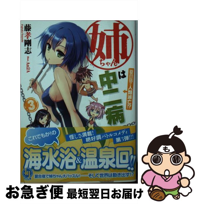 【中古】 姉ちゃんは中二病 3 / 藤孝 剛志, An2A / ホビージャパン [文庫]【ネコポス発送】