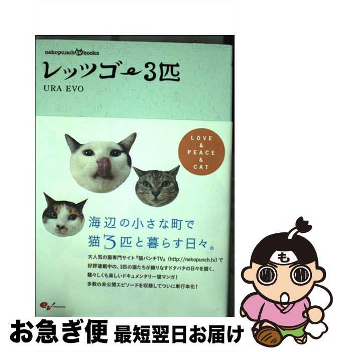 š åĥ3ɤ / URA EVO / 󥿡֥쥤 [ñ]ڥͥݥȯ