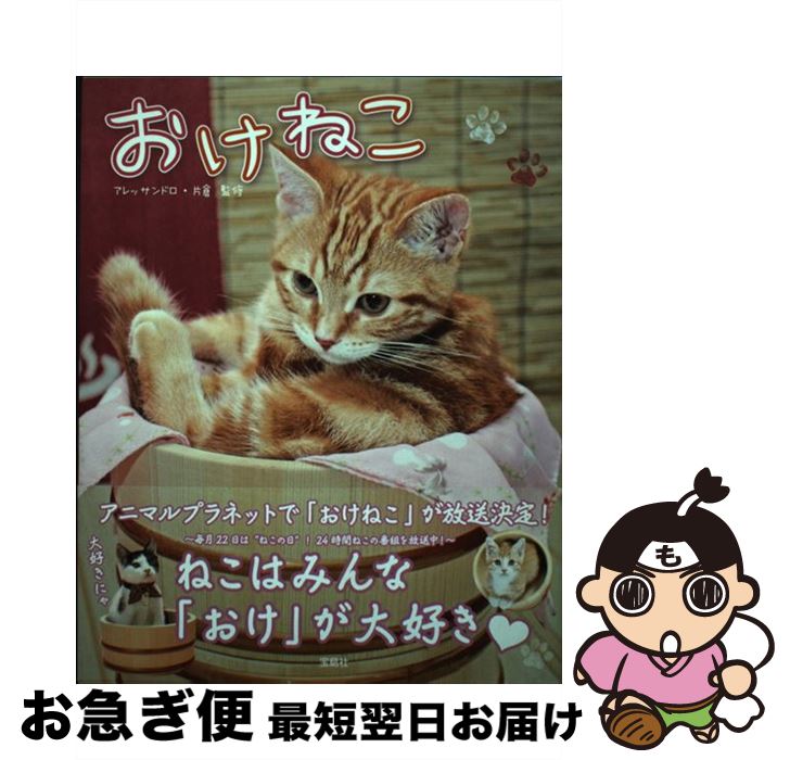 【中古】 おけねこ / アレッサンドロ・片倉 / 宝島社 [単行本]【ネコポス発送】