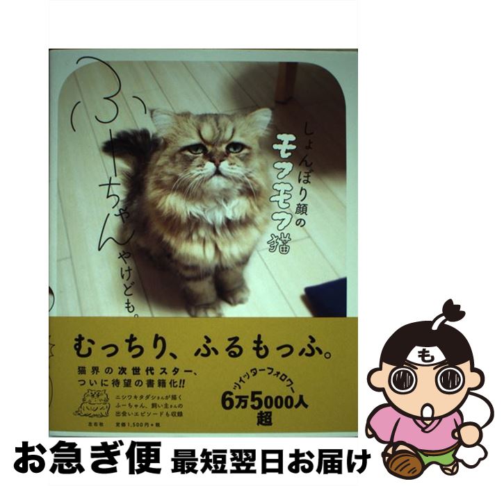 äʤޡޤŹ㤨֡š ܤΥեǭա䤱ɤ⡣ /  ľ, ˥省  /  [ñܡʥեȥС]ڥͥݥȯۡפβǤʤ259ߤˤʤޤ