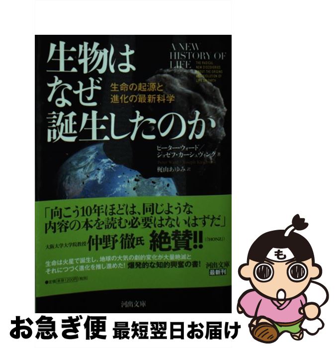 【中古】 生物はなぜ誕生したのか 生命の起源と進化の最新科学 / ピーター・ウォード, ジョゼフ・カーシュヴィンク, 梶山 あゆみ / 河出書房新社 [文庫]【ネコポス発送】