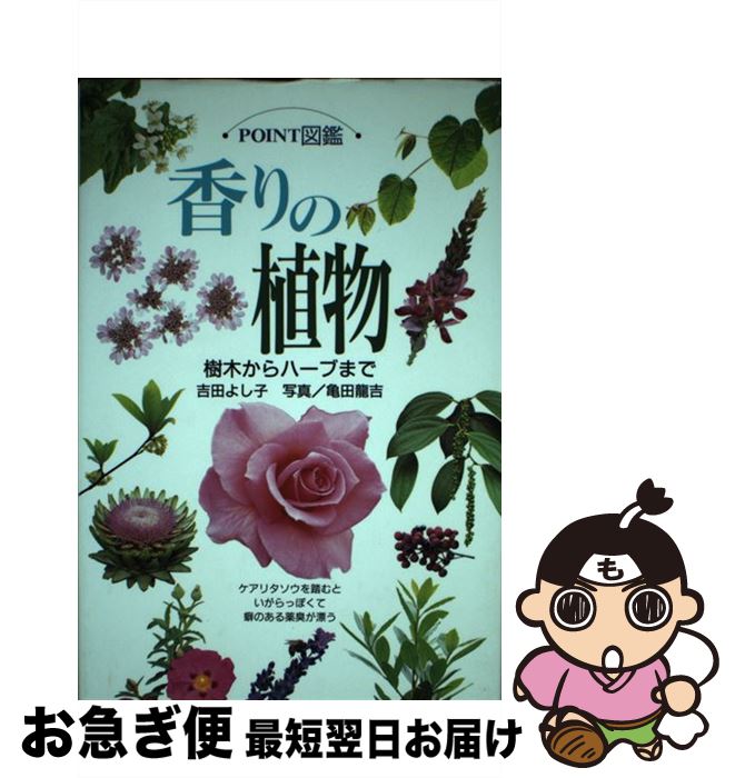 【中古】 香りの植物 樹木からハーブまで / 吉田 よし子 / 山と溪谷社 [単行本]【ネコポス発送】