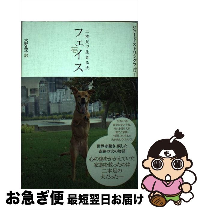 最高の フェイス 二本足で生きる犬 ジュード ストリングフェロー 大野 晶子 ヴィレッジブックス 単行本 ネコポス発送 超目玉 Www Nationalmuseum Gov Ph 最高の フェイス 二本足で生きる犬 ジュード ストリングフェロー 大野 晶子 ヴィレッジブックス 単行本 ネコポス発送 超目玉 Www Nationalmuseum Gov Ph