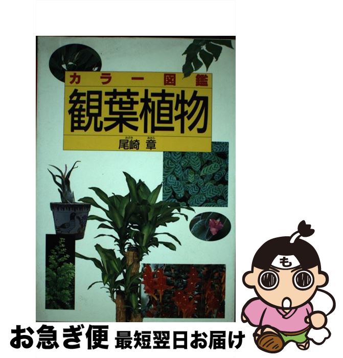 【中古】 カラー図鑑　観葉植物 カ