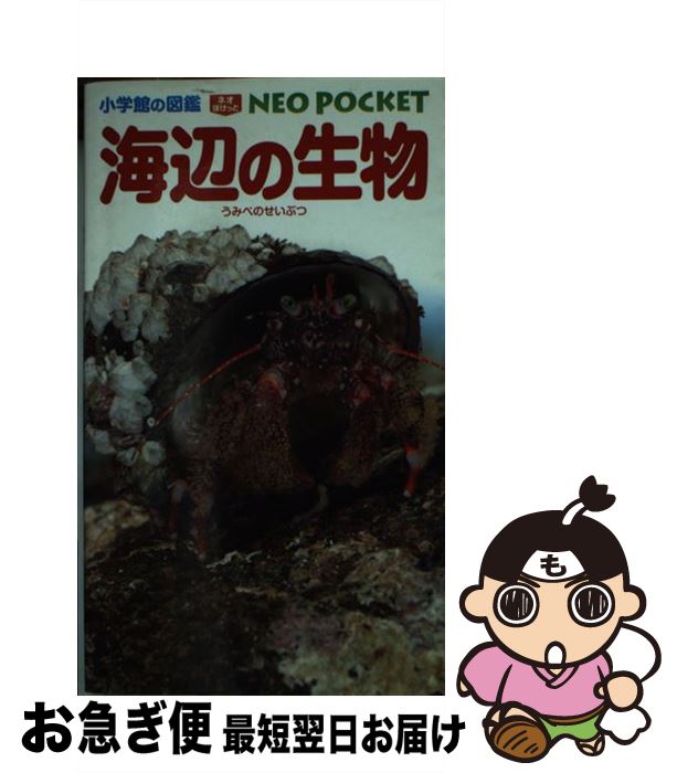 【中古】 海辺の生物 / 白山 義久, 甲斐 嘉晃, 駒井 智幸, 齋藤 寛, 長谷川 和範, 横浜 康継 / 小学館 [単行本]【ネコポス発送】