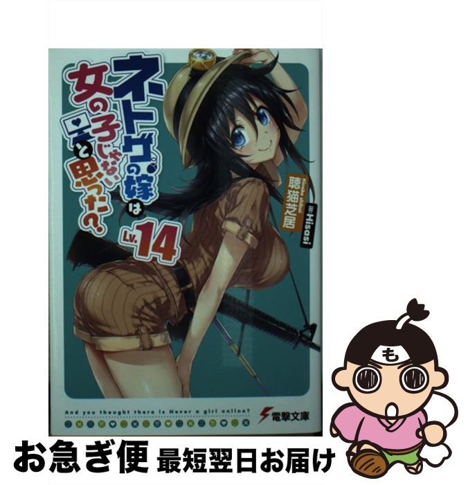 【中古】 ネトゲの嫁は女の子じゃないと思った？ Lv．14 / 聴猫 芝居, Hisasi / KADOKAWA [文庫]【ネコポス発送】