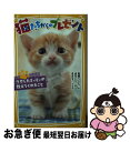 【中古】 猫たちからのプレゼント ケガしたミィミィが教えてくれたこと / 高橋 うらら, 原田 京子, 柚希 きひろ / 集英社 [新書]【ネコポス発送】