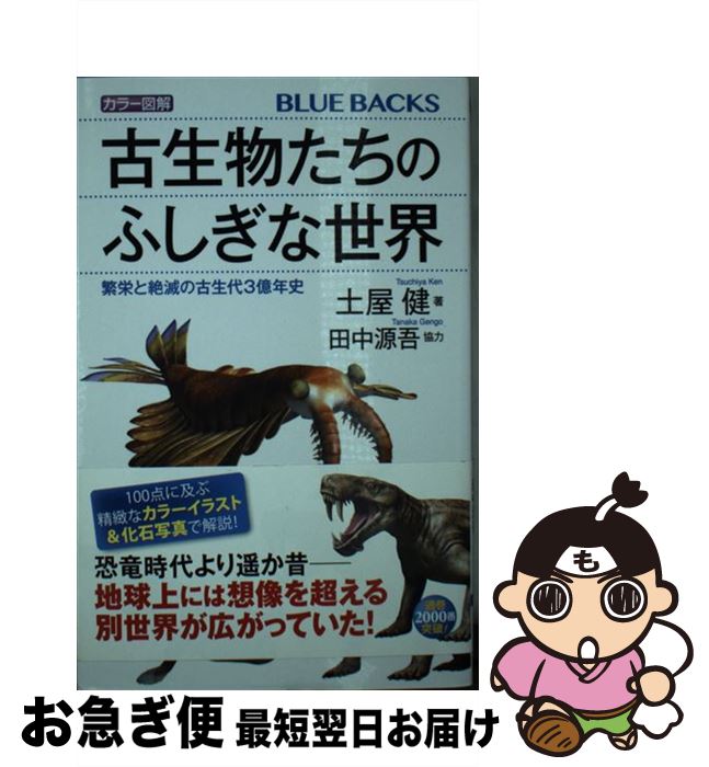 【中古】 カラー図解古生物たちのふしぎな世界 繁栄と絶滅の古生代3億年史 / 土屋 健, 田中 源吾 / 講談社 [新書]【ネコポス発送】