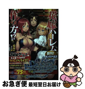 【中古】 花嫁ハーレムの作り方！？ 小説ドラゴンプロヴィデンス / 愛内なの, DMMゲームズ, 方天戟 / パラダイム [単行本（ソフトカバー）]【ネコポス発送】