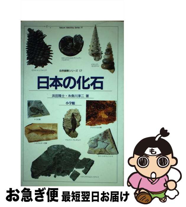 【中古】 日本の化石 / 濱田 隆士, 糸魚川 淳二 / 小学館 [ペーパーバック]【ネコポス発送】