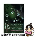 著者：矢加部 和幸, 熊日情報文化センター出版社：熊本日日新聞社サイズ：単行本（ソフトカバー）ISBN-10：4877553932ISBN-13：9784877553937■通常24時間以内に出荷可能です。■ネコポスで送料は1～3点で298円、4点で328円。5点以上で600円からとなります。※2,500円以上の購入で送料無料。※多数ご購入頂いた場合は、宅配便での発送になる場合があります。■ただいま、オリジナルカレンダーをプレゼントしております。■送料無料の「もったいない本舗本店」もご利用ください。メール便送料無料です。■まとめ買いの方は「もったいない本舗　おまとめ店」がお買い得です。■中古品ではございますが、良好なコンディションです。決済はクレジットカード等、各種決済方法がご利用可能です。■万が一品質に不備が有った場合は、返金対応。■クリーニング済み。■商品画像に「帯」が付いているものがありますが、中古品のため、実際の商品には付いていない場合がございます。■商品状態の表記につきまして・非常に良い：　　使用されてはいますが、　　非常にきれいな状態です。　　書き込みや線引きはありません。・良い：　　比較的綺麗な状態の商品です。　　ページやカバーに欠品はありません。　　文章を読むのに支障はありません。・可：　　文章が問題なく読める状態の商品です。　　マーカーやペンで書込があることがあります。　　商品の痛みがある場合があります。