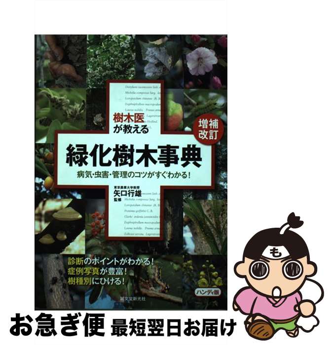 š ڰ夬вڻŵ µΥĤ狼롪  /  ͺ / ʸƲ [ñ]ڥͥݥȯ