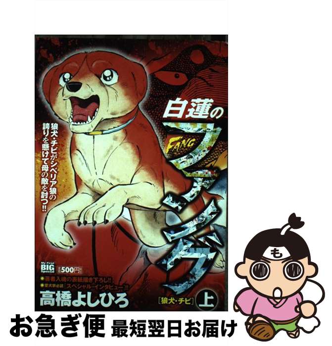 【中古】 白蓮のファング 上巻（狼犬・チビ） / 高橋 よしひろ / 小学館 [ムック]【ネコポス発送】