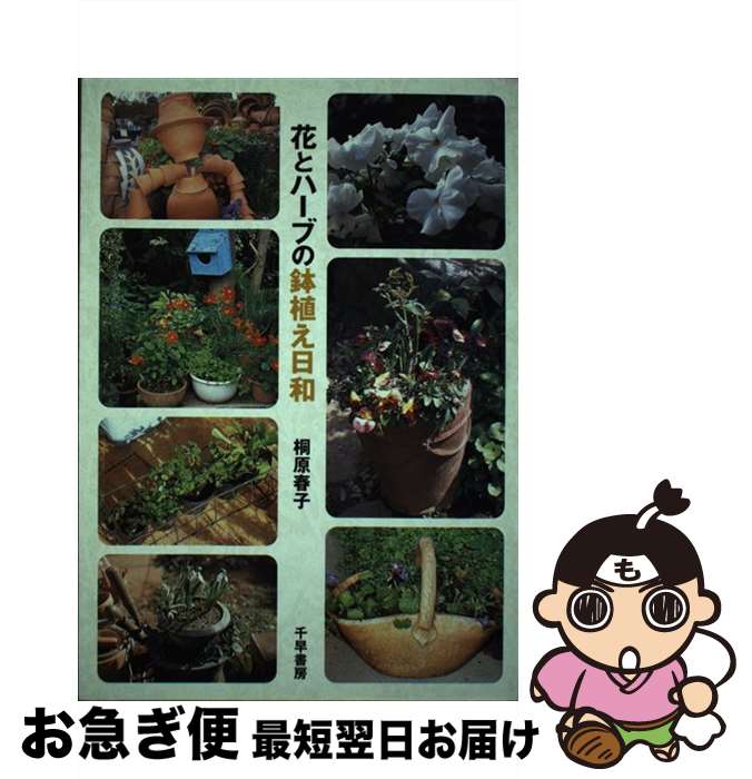 【中古】 花とハーブの鉢植え日和 / 桐原 春子 / 千早書房 [単行本]【ネコポス発送】