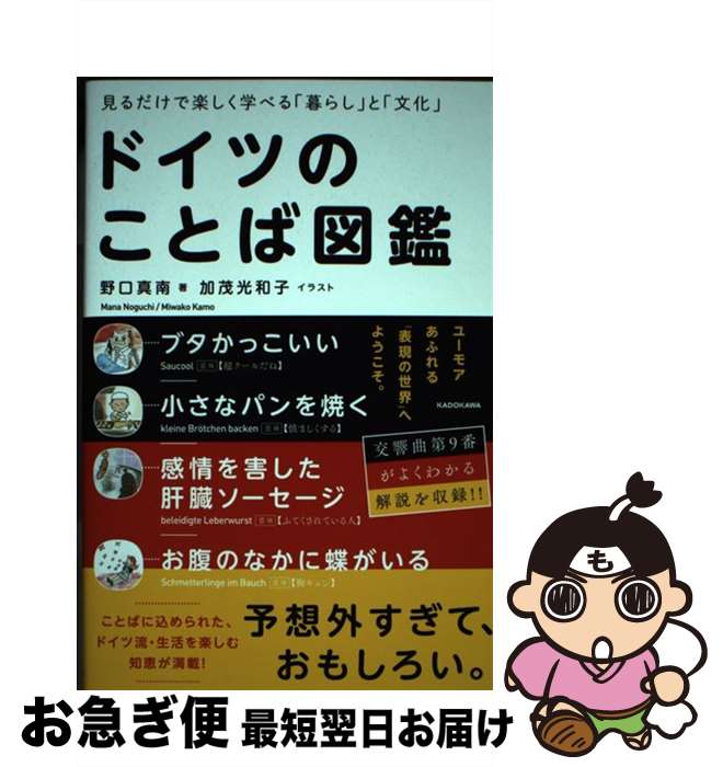 【中古】 ドイツのことば図鑑 見るだけで楽しく学べる「暮らし」と「文化」 / 野口 真南, 加茂 光和子 ..