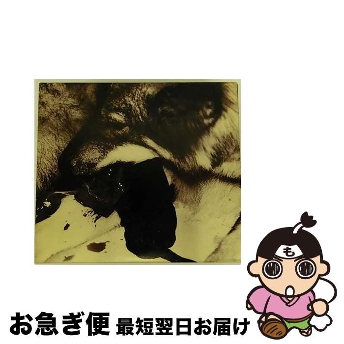 š MySong/CD/COCP-50772 / syrup16g, Syrup16g / ܥӥ [CD]ڥͥݥȯ