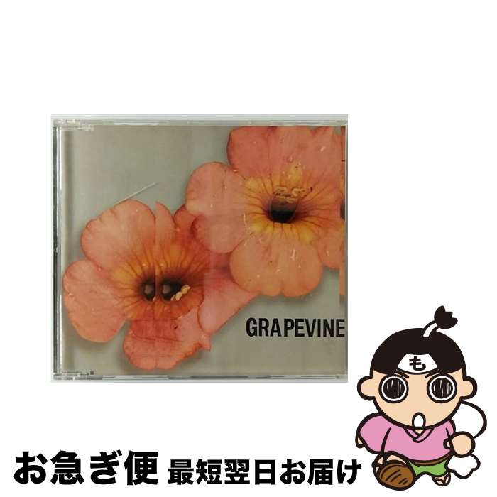 【中古】 会いにいく/CDシングル（12cm）/PCCA-01926 / GRAPEVINE / ポニーキャニオン [CD]【ネコポス発送】