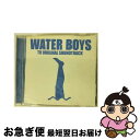 【中古】 WATER BOYS-TV ORIGINAL SOUNDTRACK/CD/UPCH-1284 / TVサントラ, ルベッツ, ミッシェル・ポルナレフ ...