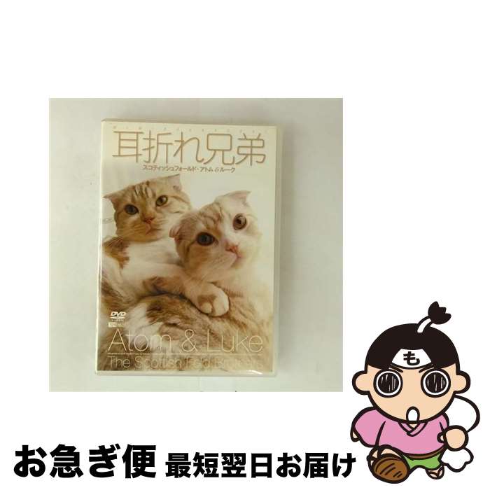 š ޤ췻ƥåեɡȥ롼/DVD/SDA-69 / ݽ [DVD]ڥͥݥȯ