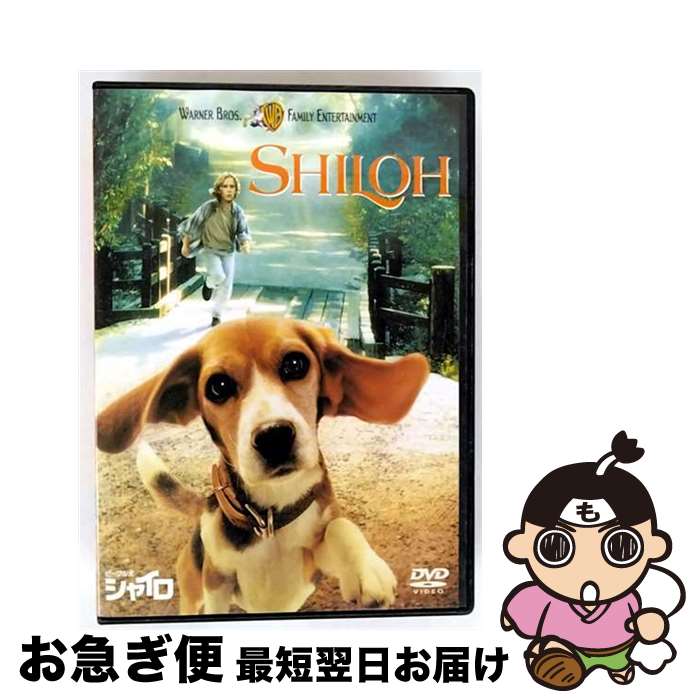 š 㥤/DVD/DL-36349 / ʡۡࡦӥǥ [DVD]ڥͥݥȯ