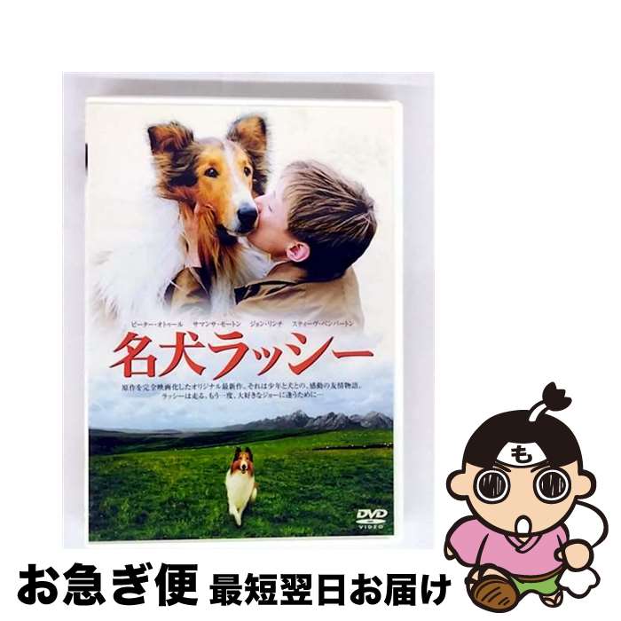 š ̾å/DVD/DZ-3330 / ݥۡӥǥ [DVD]ڥͥݥȯ