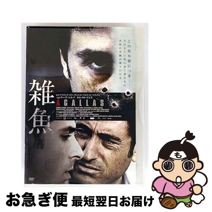 š DVD () 󥿥 / [DVD]ڥͥݥȯ