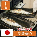 美濃焼 耐熱姿焼 グリルプレート 1枚 日本製 魚焼きグリル 魚焼きトレー 焼き魚 グリル グリルトレー トレー グリルパン プレート 電子レンジ対応 食洗機対応 オーブン調理 直火調理 耐熱陶器 持ち手付き 角型 秋刀魚 さんま