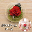 \LINE追加で10%OFFクーポンプレゼント!/ プリザーブド ガラスドーム ローズ プリザーブドフラワー 母の日 バラ プレゼント ギフト 花 母親 母 義...