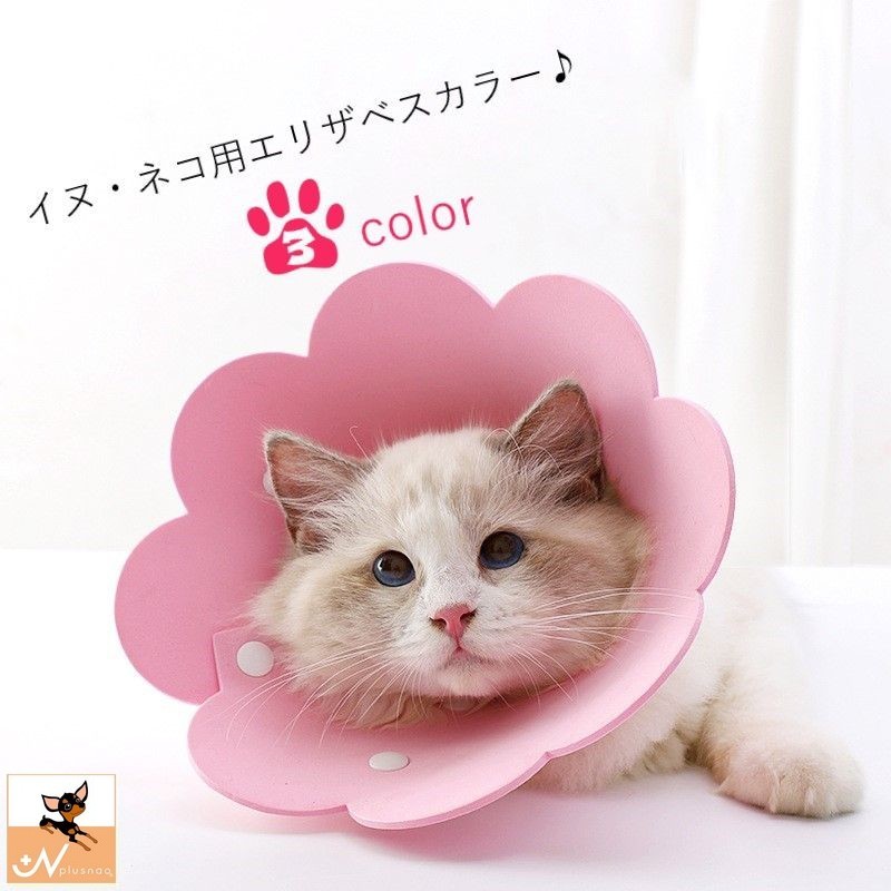 送料無料 エリザベスカラー ネコ 猫 小型犬 ペット用品 ペット雑貨 スナップボタン フラワー 花型 無地 イエロー ピンク オレンジ シンプル かわいい キュート サイズ調整可能