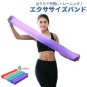 送料無料 エクササイズバンド トレーニングチューブ スポーツ器具 フィットネス ダイエット ストレッチ 引き締め 筋トレ リハビリ ヨガ バレエ コンパクト ゴム 運動 カラバリ豊富 ピンク ブルー レッド パープル イエロー 青 赤 紫 黄色