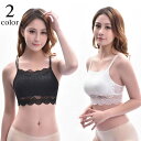 送料無料 ノンワイヤーブラ レースブラ 単品 レディース 女性用 インナー 下着 4段ホック 見せブラ セクシー かわいい おしゃれ