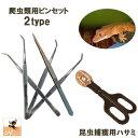 送料無料 ピンセット ハサミ式 爬虫類用 ペット用 餌やり 虫取り 30cm ご飯 えさ エサ フン取り フン処理 トカゲ ヘビ ロング 長い 便利 昆虫 両生...