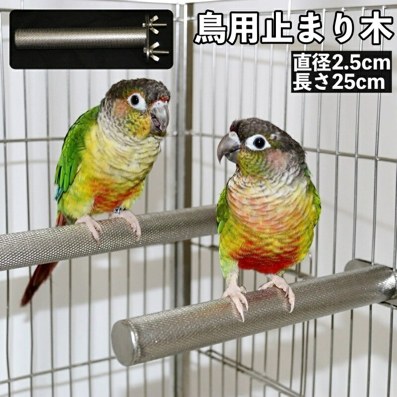 可愛い小鳥たちの休憩場所に♪ 鳥用の止まり木です。 ※他のサイズも販売中です。 【pet-22886】で検索してください。 【サイズについて】 画像をご参照ください。 【カラーについて】 生産ロットにより柄の出方や色の濃淡が異なる場合がございます。 お使いのモニターや撮影時の光の加減などにより 画像と実際の商品のカラーが異なる場合もございます。 予告なしにカラーやデザインなどの変更がある場合もございます。 【素材について】 合金