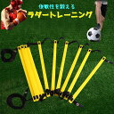 送料無料 ラダー トレーニング用品 スポーツ サッカー フットサル トレーニングラダー 俊敏性 敏捷性 運動神経 ステップ 体幹強化 バランス能力 股関節 柔軟性