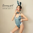 送料無料 バニーガール 5点セット コスプレ衣装 コスチューム レディース 婦人用 女性 レオタード カチューシャ 蝶ネクタイ チョーカー リボン しっぽ リス...