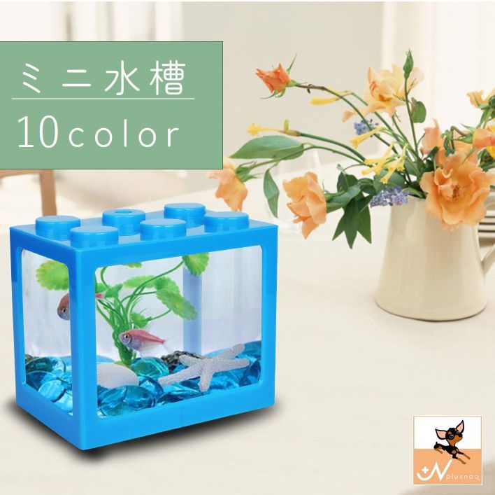 楽天市場】かわいい(水槽|水槽・アクアリウム):熱帯魚 楽天市場】かわいい(水槽|水槽・アクアリウム):熱帯魚