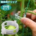 送料無料 園芸用クリップ 誘引クリップ 100個セット シンプル 取り付け簡単 成長サポート ガーデニング 園芸用品 家庭菜園