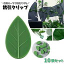 送料無料 誘引クリップ 10個セット 園芸クリップ 固定クリップ 壁掛け 両面テープ リーフ型 農業 園芸 ガーデニング 接木 結束 バンド 固定 つる 花 野...