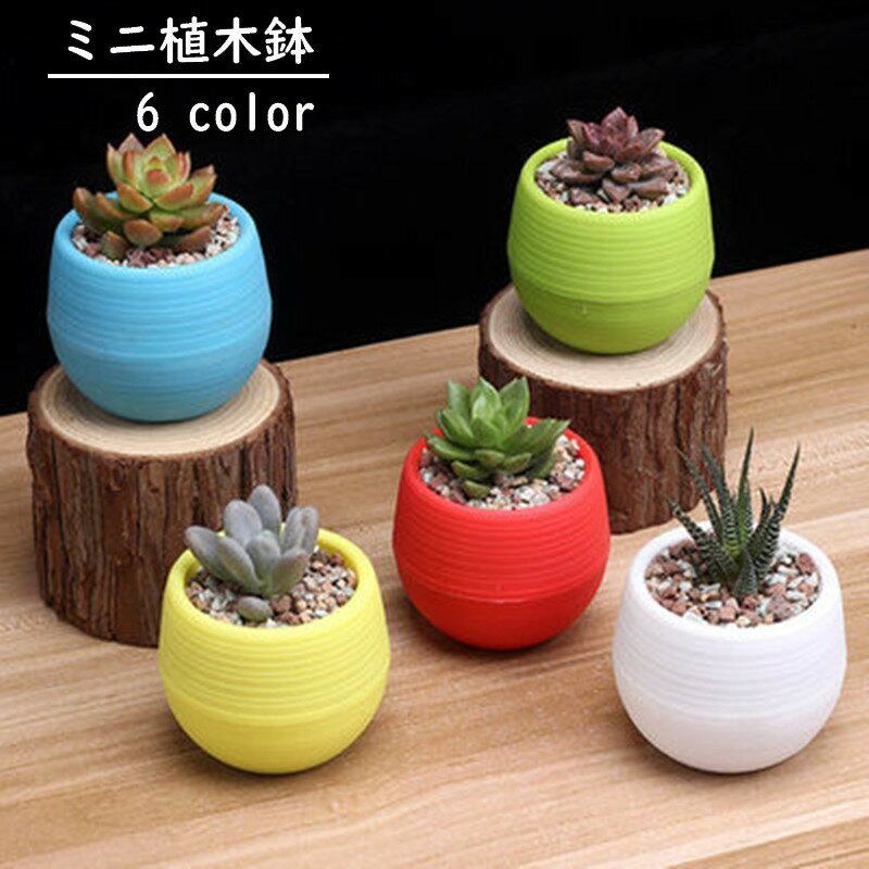 送料無料 植木鉢 フラワーポット 受