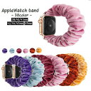  Apple Watchoh AbvEHb` X}[gEHb`ANZT[ 38mm 40mm 41mm 42mm 44mm 45mm 49mm ւ xg キ Vv JWA  JoLx