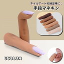 送料無料 手指マネキン 手指モデル 練習用 爪あり ネイルアート用品 ジェルネイル マニキュア トレーニング用 ディスプレイ ネイルチップスタンド ネイルチップ台 トレーニングネイル 角度調整 模型 固定 色見本 学生 ネイリスト 指 手指 モデル